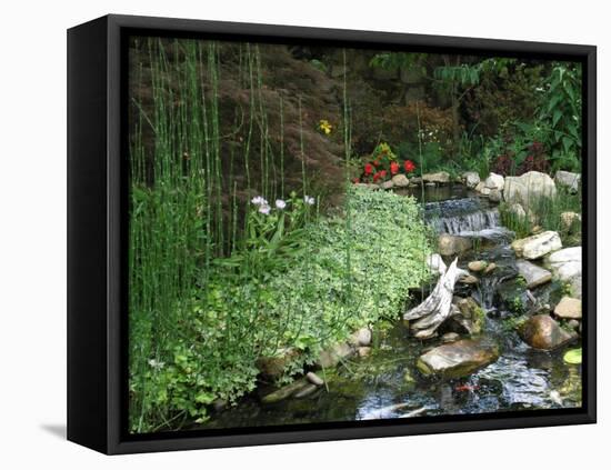 Koi Paradise-Herb Dickinson-Framed Premier Image Canvas