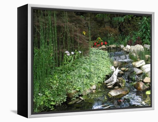 Koi Paradise-Herb Dickinson-Framed Premier Image Canvas