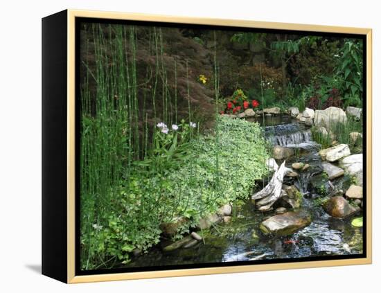 Koi Paradise-Herb Dickinson-Framed Premier Image Canvas