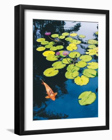 Koi Pond I-Maureen Love-Framed Photographic Print