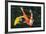 Koi, Valley of the Temples, Kaneohe, Oahu, Hawaii-Michael DeFreitas-Framed Photographic Print