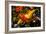 Koi-Steven Boone-Framed Photographic Print