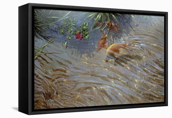 Koi-Michael Jackson-Framed Premier Image Canvas