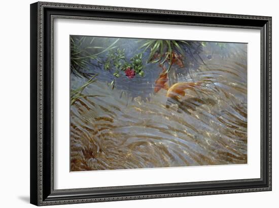 Koi-Michael Jackson-Framed Giclee Print