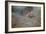 Koi-Michael Jackson-Framed Giclee Print