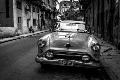 Premium Photographic Print
