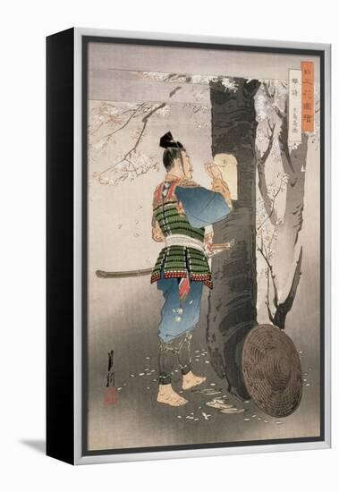 Kojima Takanori Writing a Poem on a Cherry Tree, from the Series, 'Pictures of Flowers of Japan',…-Ogata Gekko-Framed Premier Image Canvas