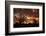 Kokerboom or Quiver Trees at sunset, Mesosaurus Fossil Camp, near Keetmanshoop, Namibia-David Wall-Framed Photographic Print