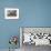 Kokospalmen und Einngeborenenhutte aus Kokosblattern-Unknown-Framed Photographic Print displayed on a wall