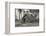 Kokospalmen und Einngeborenenhutte aus Kokosblattern-Unknown-Framed Photographic Print