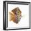 Kole tang-Martin Harvey-Framed Photographic Print