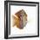 Kole tang-Martin Harvey-Framed Photographic Print