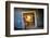 Kolmanskop Ghost Town in the Namib Desert Near Luderitz, Namibia-Rodrigo Nunes-Framed Photographic Print