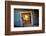 Kolmanskop Ghost Town in the Namib Desert Near Luderitz, Namibia-Rodrigo Nunes-Framed Photographic Print