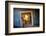 Kolmanskop Ghost Town in the Namib Desert Near Luderitz, Namibia-Rodrigo Nunes-Framed Photographic Print