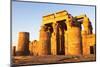 Kom Ombo Temple is unique as a completely symmetrical complex with two entrances. Edfu, Egypt.-Tom Norring-Mounted Photographic Print