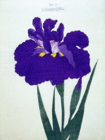 油絵 油彩 油彩画 絵画 絵【ミモザ】6切りサイズ | HIROSHI1990