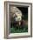 Komodo Dragon in Indonesia-Martin Harvey-Framed Photographic Print