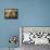 Komodo Dragon Skin, SEM-Steve Gschmeissner-Framed Premier Image Canvas displayed on a wall