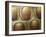 Komodo Dragon Skin, SEM-Steve Gschmeissner-Framed Photographic Print