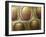 Komodo Dragon Skin, SEM-Steve Gschmeissner-Framed Photographic Print