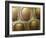 Komodo Dragon Skin, SEM-Steve Gschmeissner-Framed Photographic Print