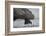 Komodo Dragon (Varanus Komodoensis) Close Up, Komodo National Park, Indonesia-Pedro Narra-Framed Photographic Print