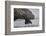 Komodo Dragon (Varanus Komodoensis) Close Up, Komodo National Park, Indonesia-Pedro Narra-Framed Photographic Print