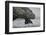 Komodo Dragon (Varanus Komodoensis) Close Up, Komodo National Park, Indonesia-Pedro Narra-Framed Photographic Print