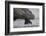 Komodo Dragon (Varanus Komodoensis) Close Up, Komodo National Park, Indonesia-Pedro Narra-Framed Photographic Print