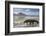 Komodo Dragon (Varanus Komodoensis) Walking with Tongue Extended on Beach-Mark Macewen-Framed Photographic Print