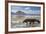 Komodo Dragon (Varanus Komodoensis) Walking with Tongue Extended on Beach-Mark Macewen-Framed Photographic Print