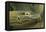 Komodo Dragon-Joe McDonald-Framed Premier Image Canvas