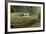 Komodo Dragon-Joe McDonald-Framed Photographic Print