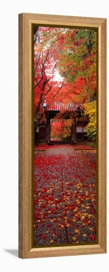 (Komyoji Temple) Kyoto Japan-null-Framed Stretched Canvas