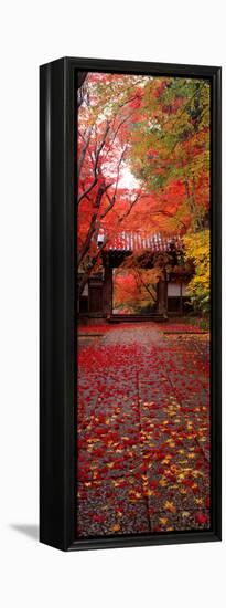 (Komyoji Temple) Kyoto Japan-null-Framed Stretched Canvas