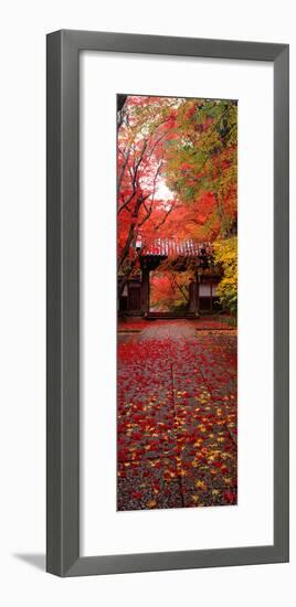 (Komyoji Temple) Kyoto Japan-null-Framed Premium Photographic Print