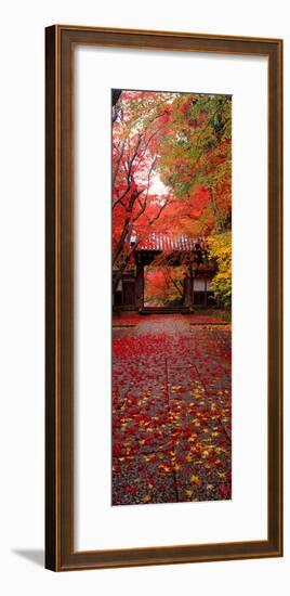 (Komyoji Temple) Kyoto Japan-null-Framed Premium Photographic Print