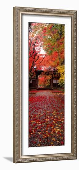 (Komyoji Temple) Kyoto Japan-null-Framed Photographic Print