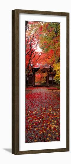 (Komyoji Temple) Kyoto Japan-null-Framed Photographic Print