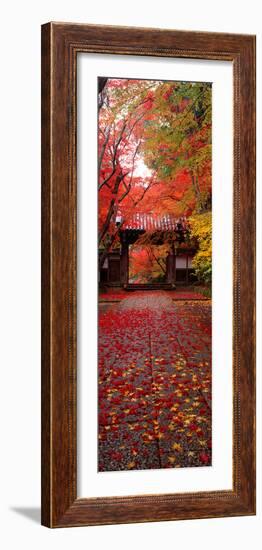 (Komyoji Temple) Kyoto Japan-null-Framed Photographic Print