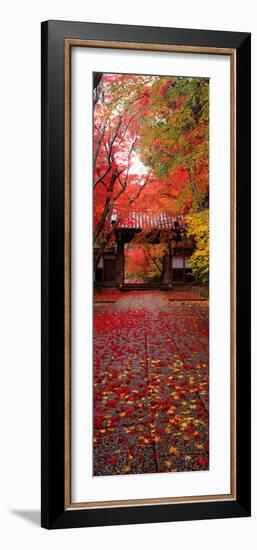 (Komyoji Temple) Kyoto Japan-null-Framed Photographic Print