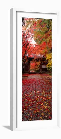 (Komyoji Temple) Kyoto Japan-null-Framed Photographic Print