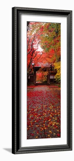 (Komyoji Temple) Kyoto Japan-null-Framed Photographic Print