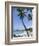 Kona State Beach, Island of Hawaii (Big Island), Hawaii, USA-Ethel Davies-Framed Photographic Print