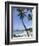 Kona State Beach, Island of Hawaii (Big Island), Hawaii, USA-Ethel Davies-Framed Photographic Print