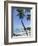 Kona State Beach, Island of Hawaii (Big Island), Hawaii, USA-Ethel Davies-Framed Photographic Print