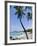 Kona State Beach, Island of Hawaii (Big Island), Hawaii, USA-Ethel Davies-Framed Photographic Print