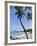 Kona State Beach, Island of Hawaii (Big Island), Hawaii, USA-Ethel Davies-Framed Photographic Print