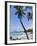 Kona State Beach, Island of Hawaii (Big Island), Hawaii, USA-Ethel Davies-Framed Photographic Print